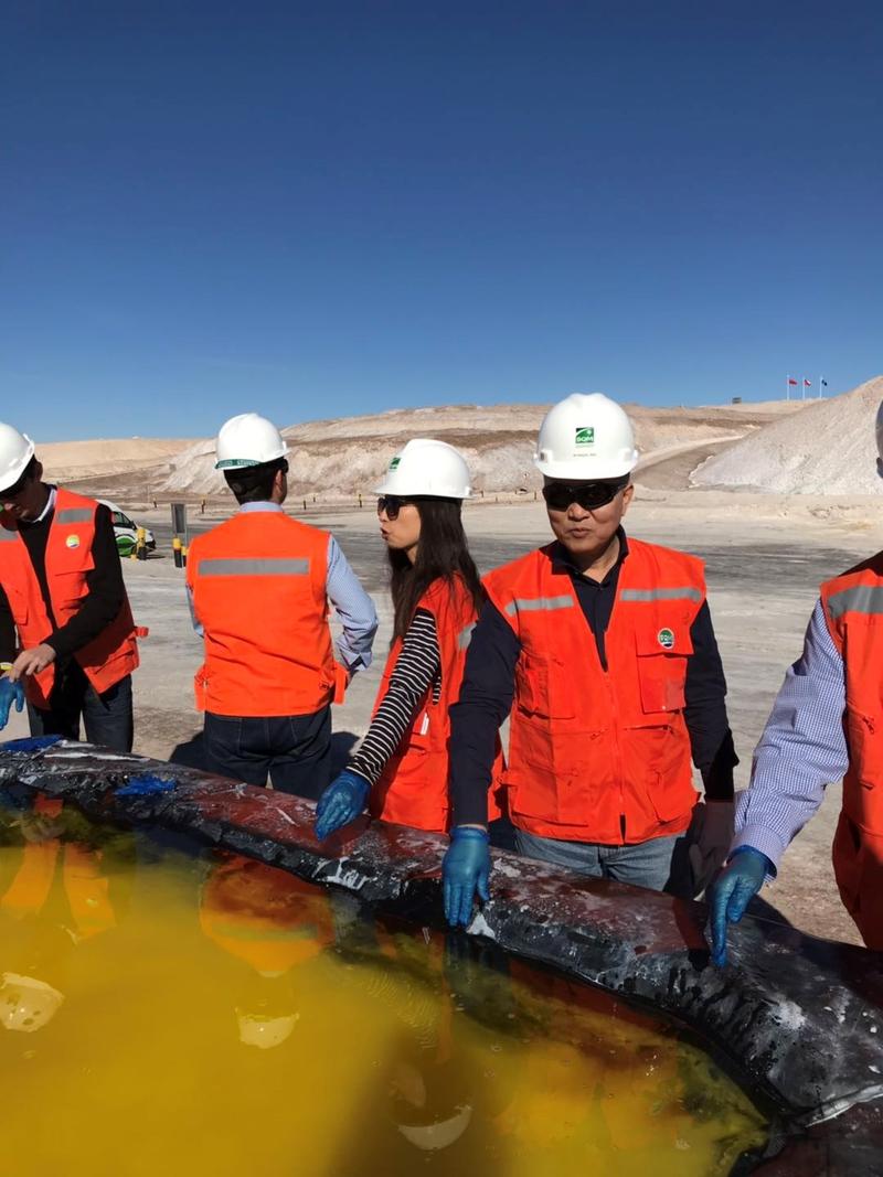 图为天齐锂业代表团参观阿塔卡玛盐湖及锂化工品生产基地